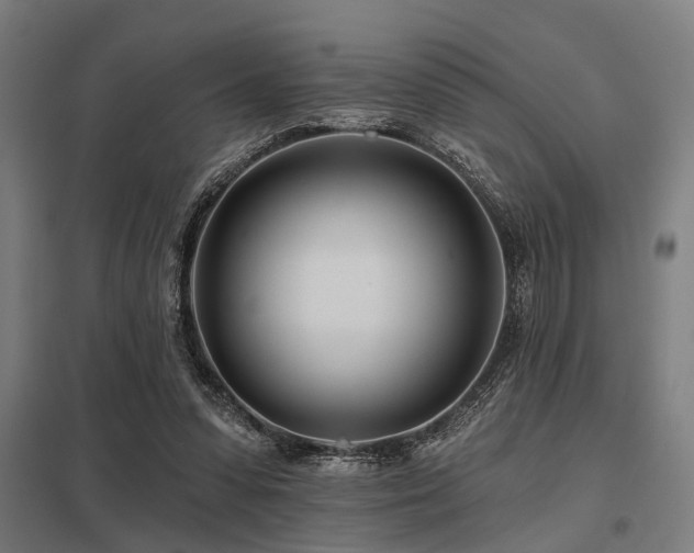 X0000098050303200803281501