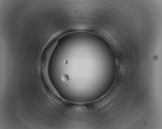 X0000098050304200803281501