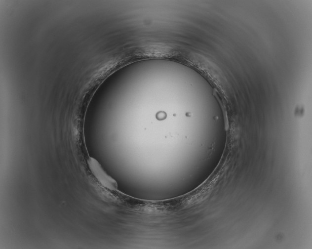 X0000098050305200803281501