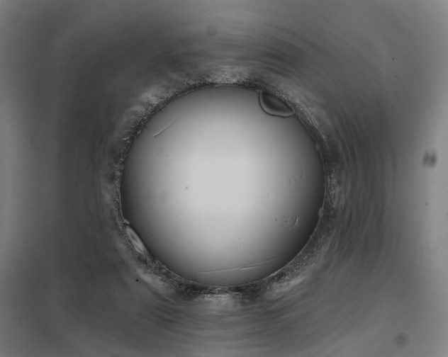 X0000098050307200803281501