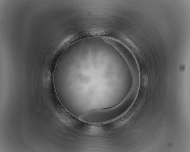 X0000098050308200803281501