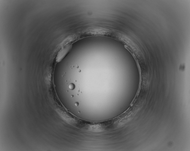 X0000098050309200803281501