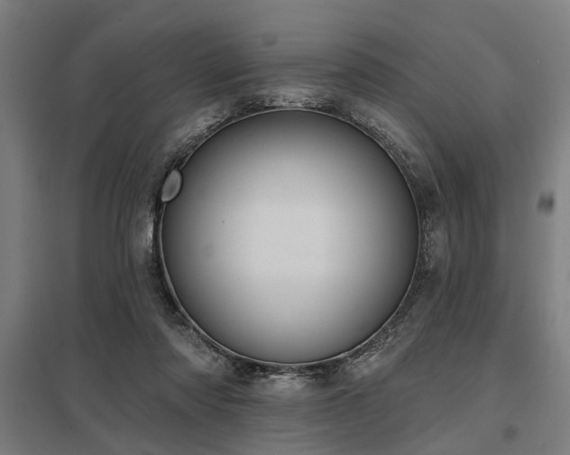 X0000098050310200803281501