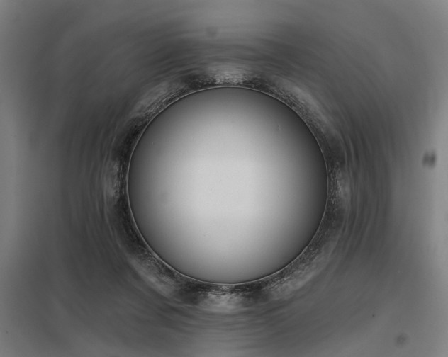 X0000098050311200803281501