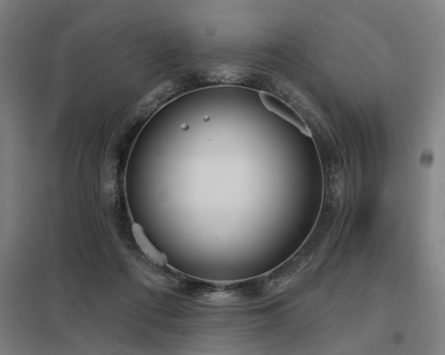 X0000098050312200803281501