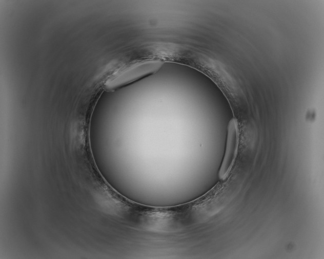 X0000098050313200803281501