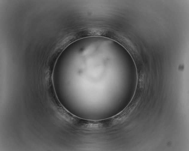 X0000098050314200803281501