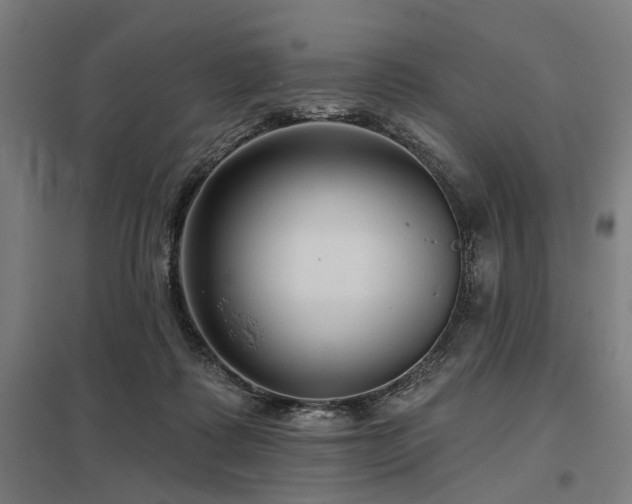 X0000098050315200803281501