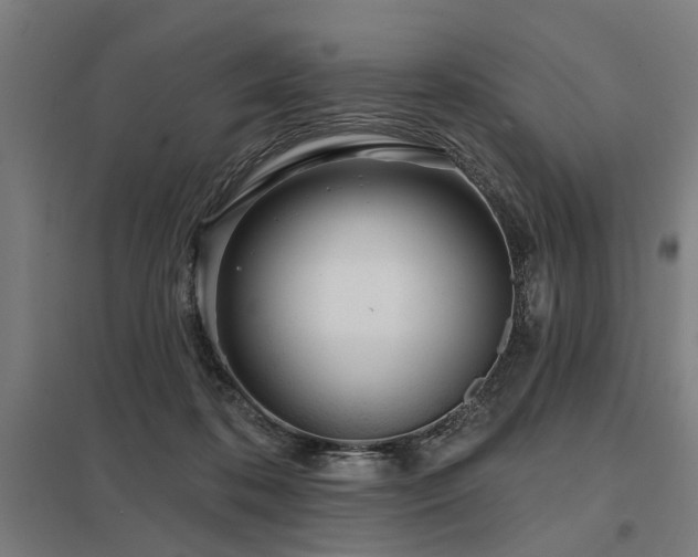 X0000098050316200803281501