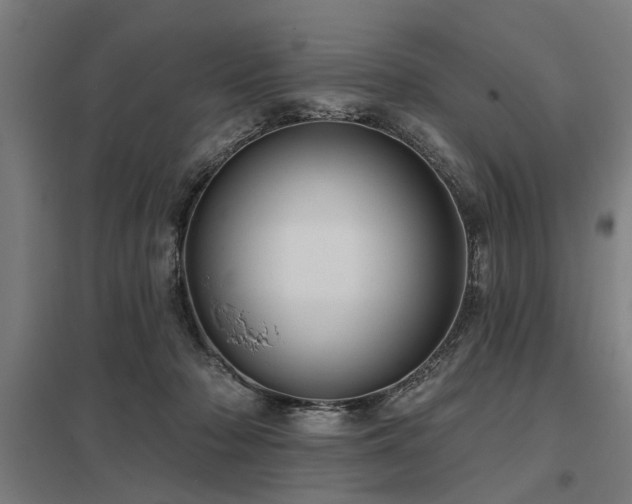 X0000098050318200803281501