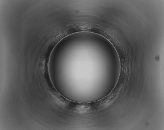 X0000098050319200803281501