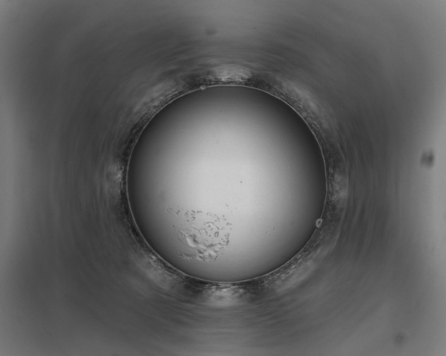 X0000098050321200803281501