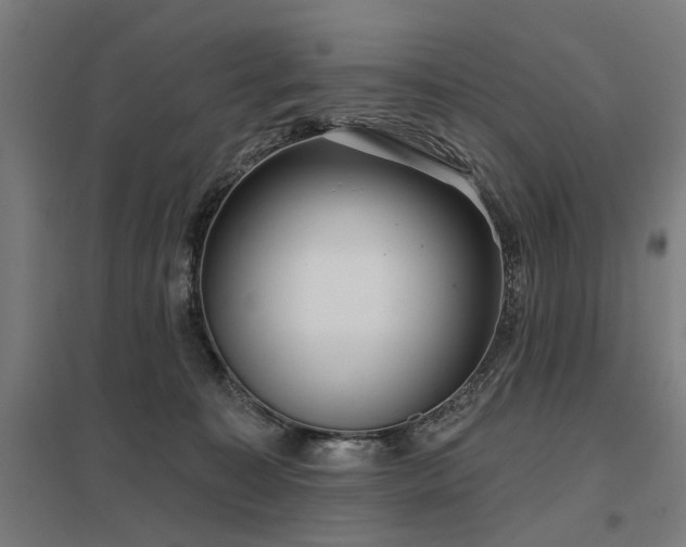 X0000098050323200803281501