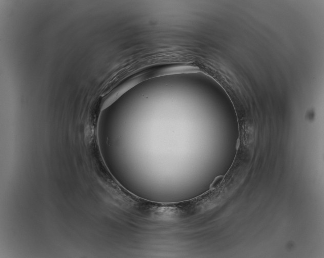 X0000098050324200803281501