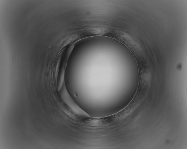 X0000098050325200803281501