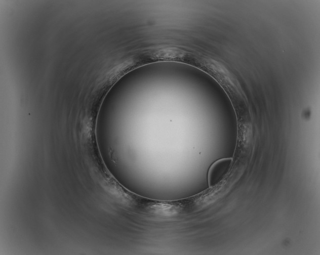 X0000098050326200803281501