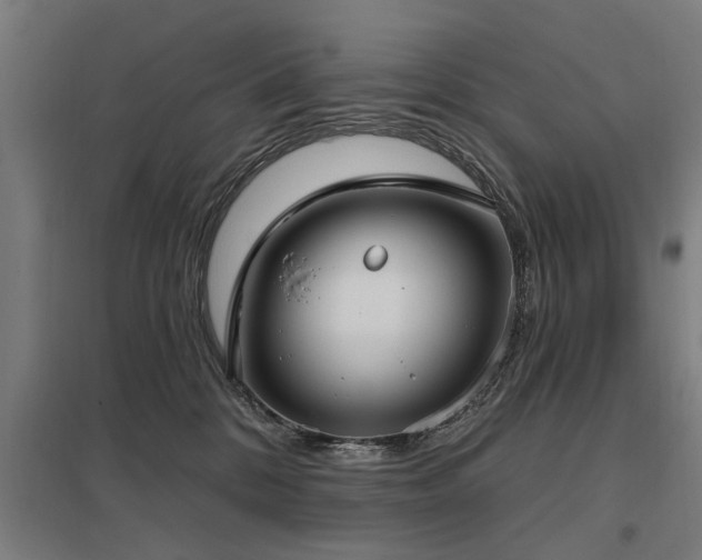 X0000098050328200803281501