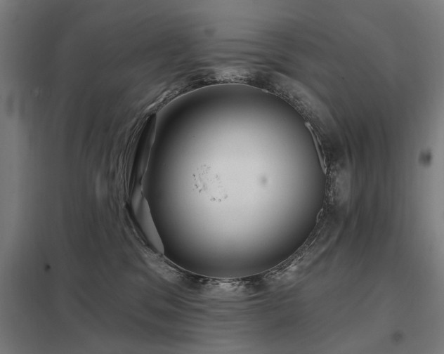 X0000098050329200803281501