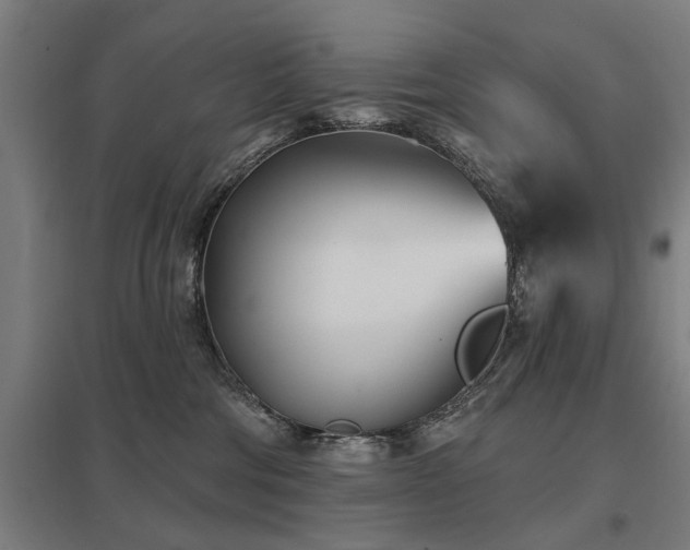 X0000098050330200803281501