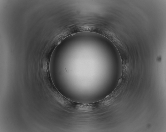 X0000098050331200803281501