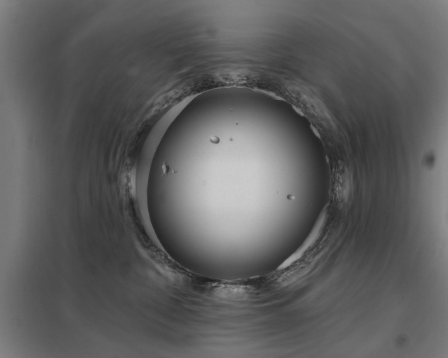 X0000098050332200803281501