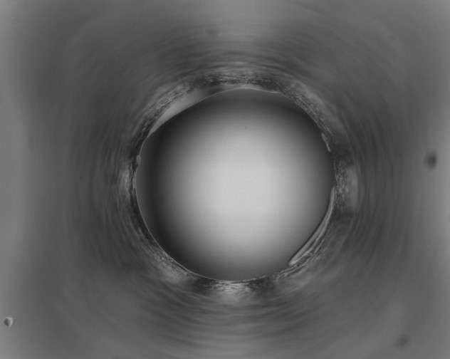 X0000098050333200803281501