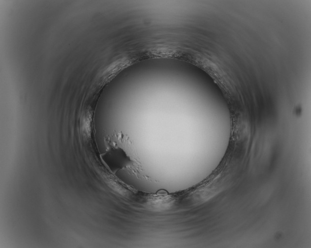 X0000098050334200803281501