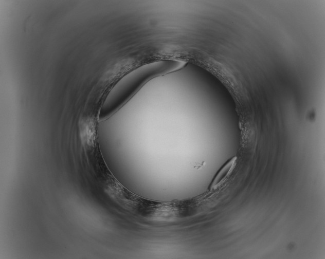 X0000098050335200803281501