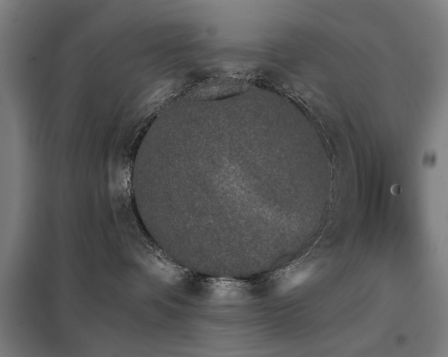 X0000098050336200803281501