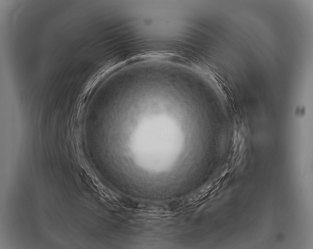 X0000098050337200803281500