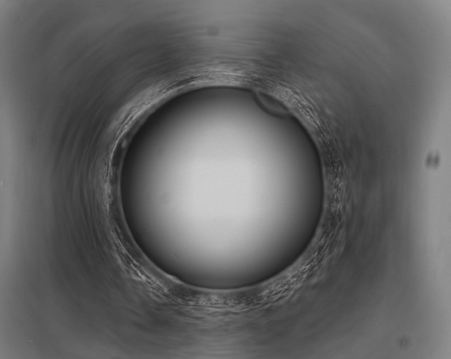 X0000098050338200803281500