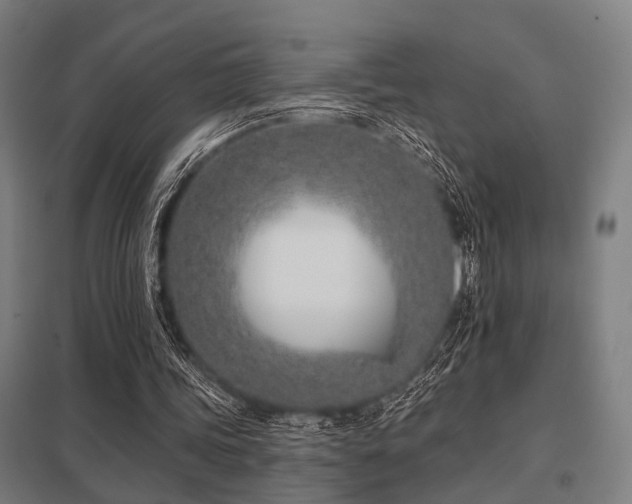 X0000098050339200803281500