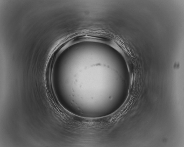 X0000098050340200803281500