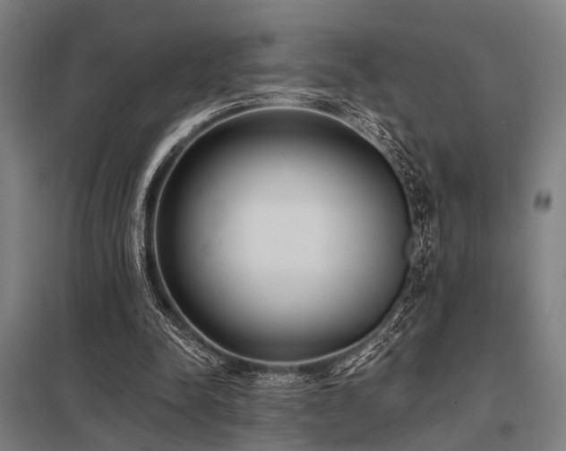 X0000098050342200803281500