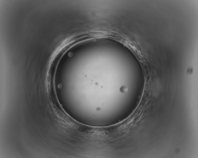 X0000098050343200803281500