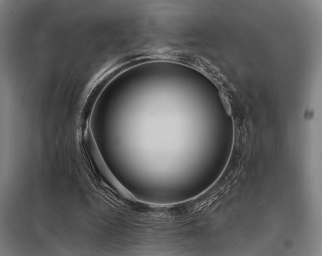 X0000098050344200803281500