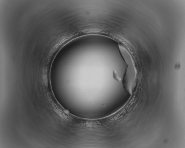 X0000098050345200803281500