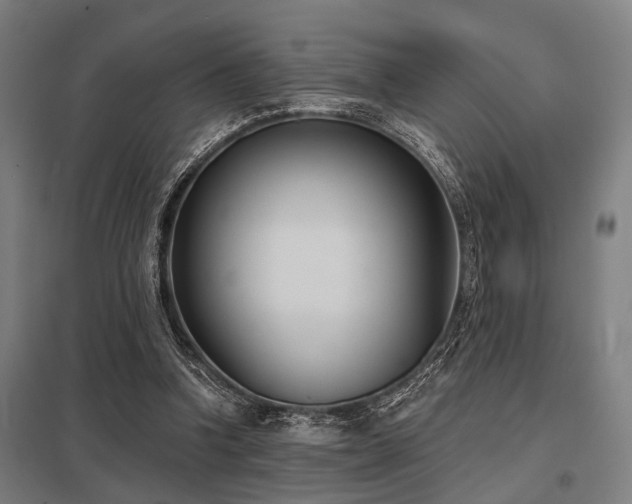 X0000098050346200803281500