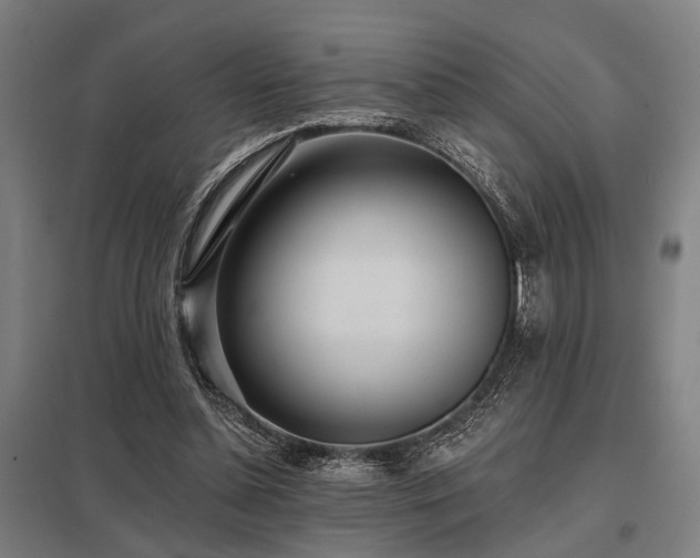 X0000098050348200803281500