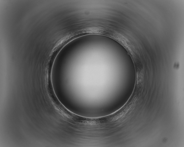 X0000098050349200803281500