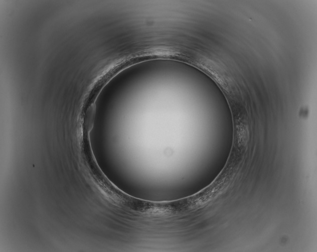 X0000098050350200803281500