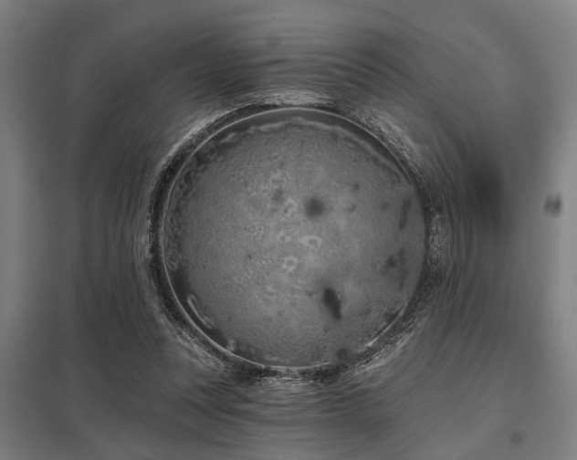 X0000098050351200803281500