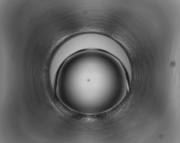 X0000098050352200803281500