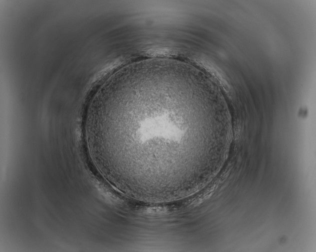 X0000098050353200803281500