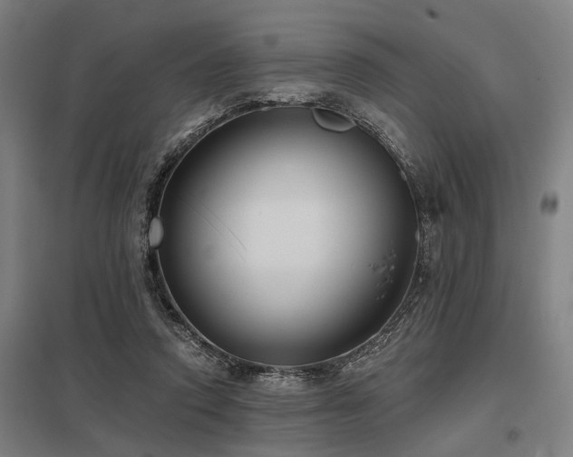 X0000098050354200803281500