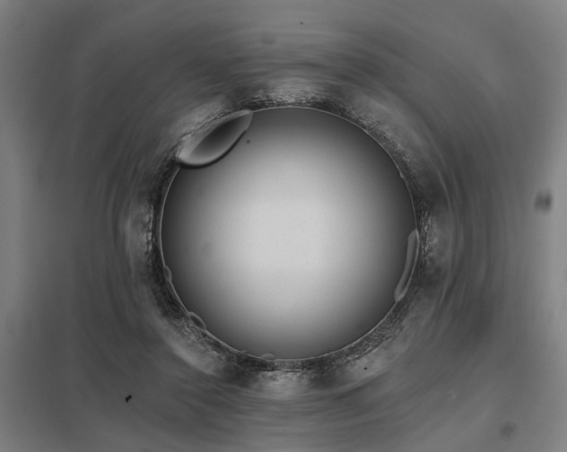 X0000098050356200803281500