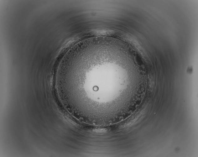 X0000098050357200803281500