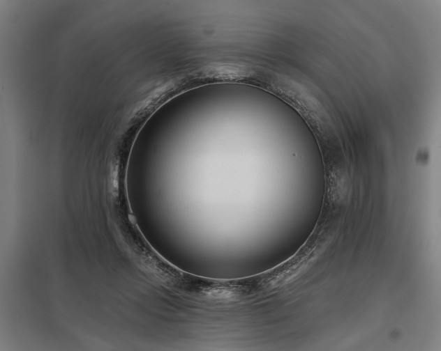 X0000098050358200803281500