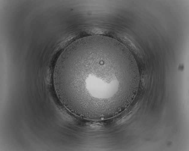 X0000098050359200803281500