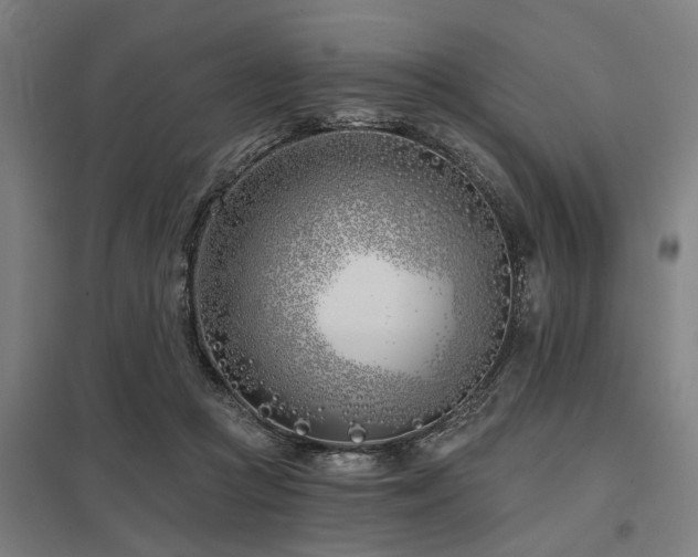 X0000098050361200803281500